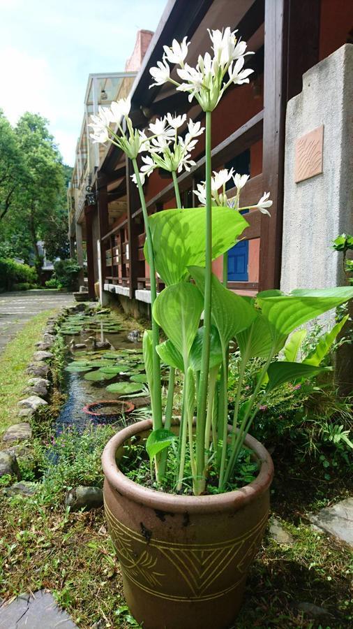 Monet Garden Coffee Farm Apartment Chinan Exterior foto